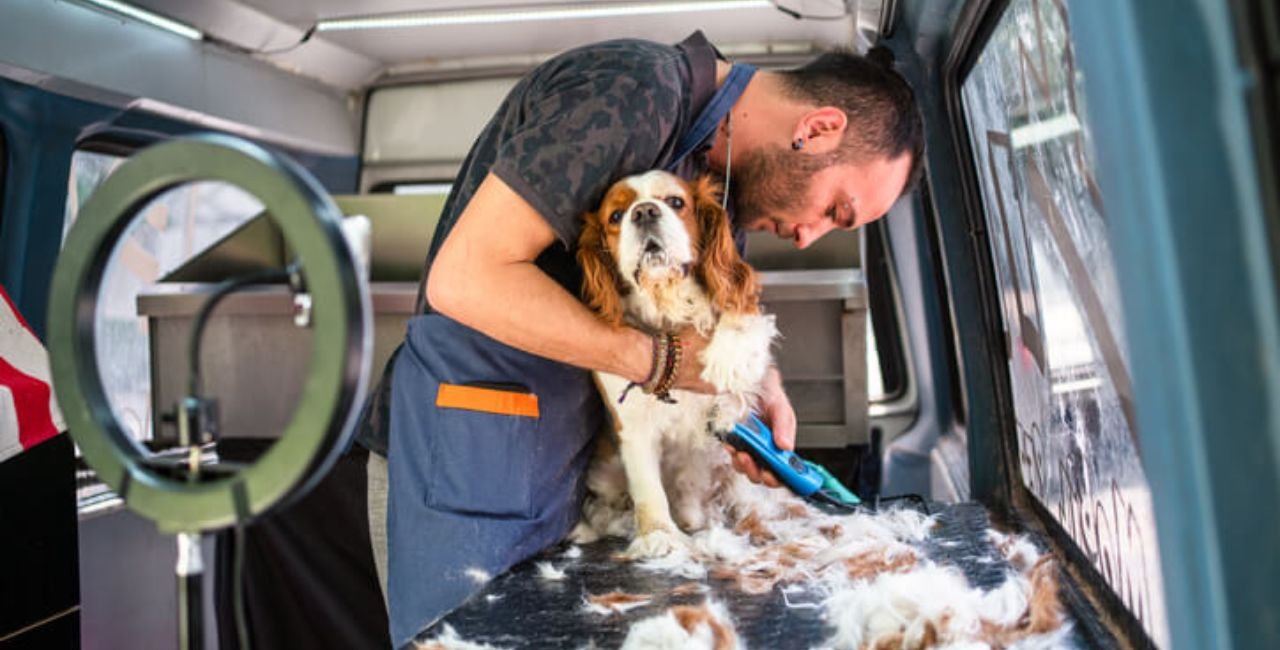 What Makes Mobile Dog Grooming Special?